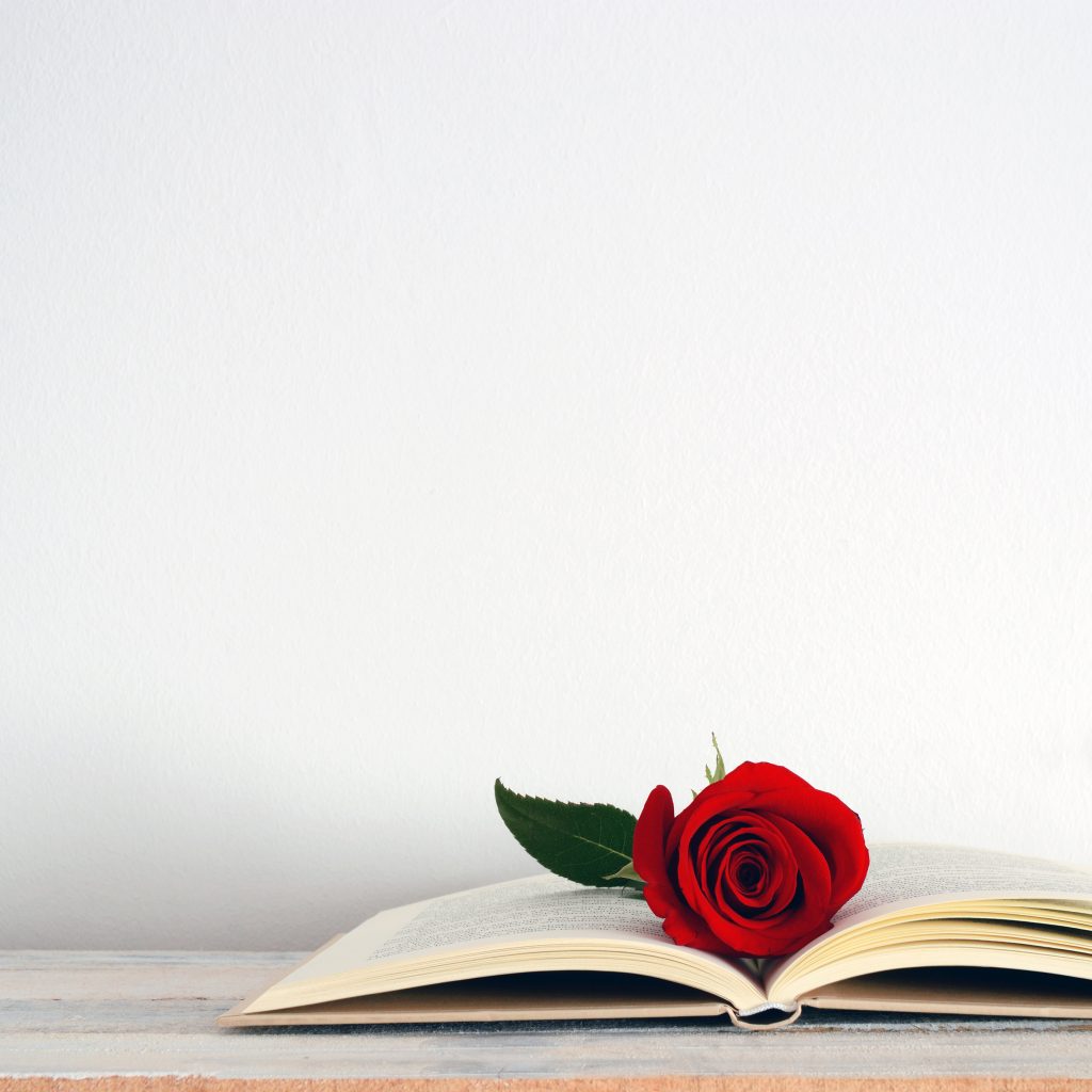 Día del Libro 23 de abril. Celebración de la literatura.