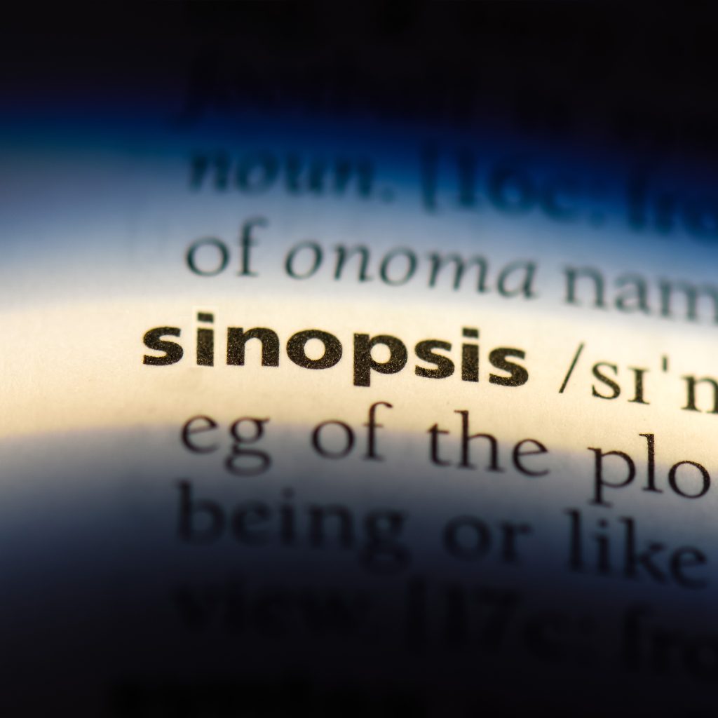 la sinopsis de un libro